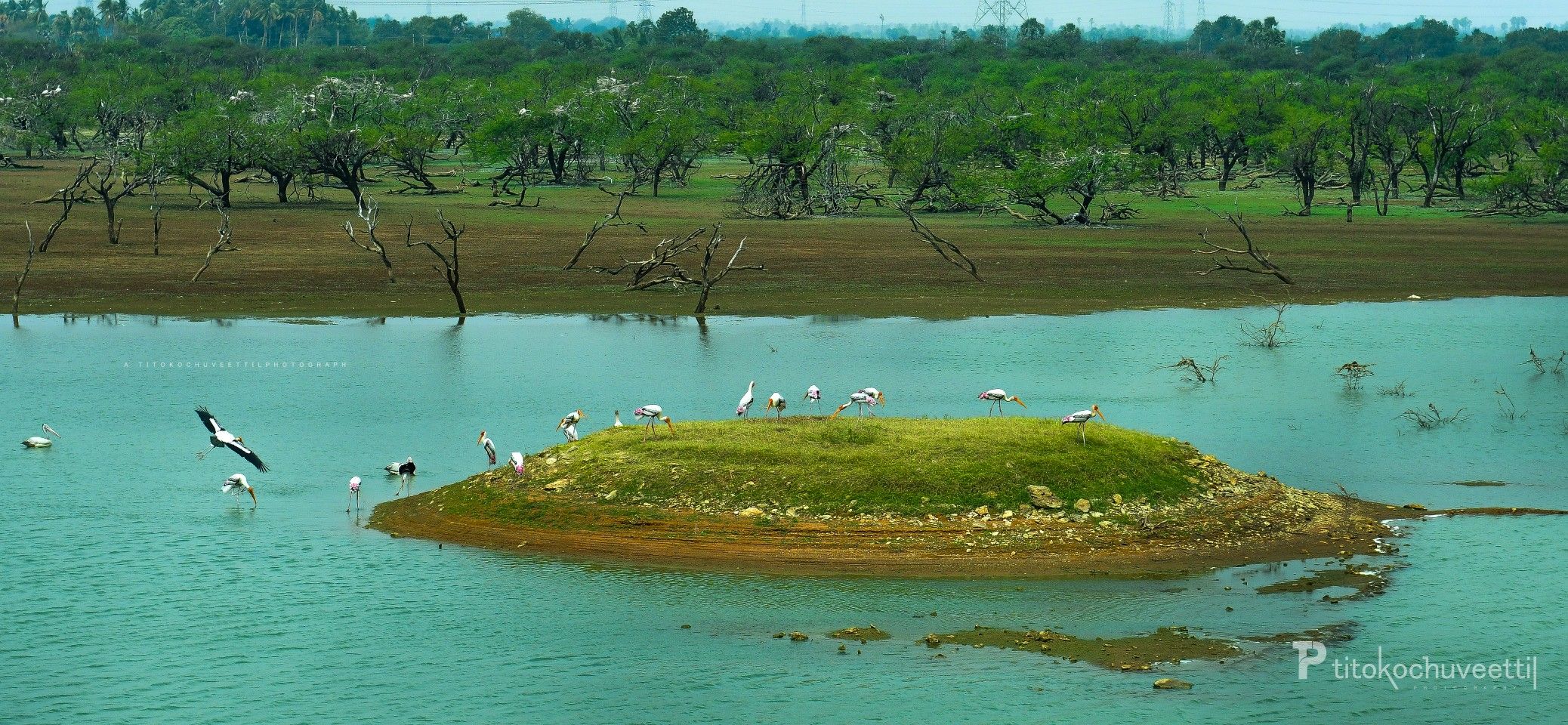 Koonthankulam-Bird-Sanctuary